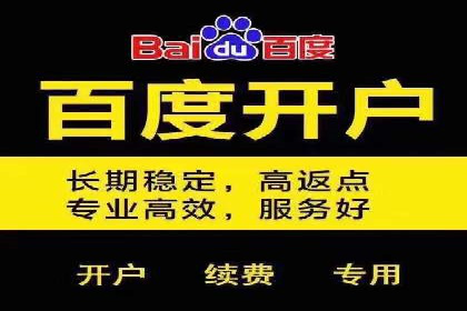 百度竞价价格优化技巧，案例解读